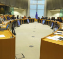 Animal Equality e altre 17 organizzazioni per la protezione degli animali al Parlamento europeo per chiedere la fine dell’uccisione dei pulcini maschi