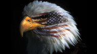 U.S.A. – L’Impero delle “piccole Guantanamo”
