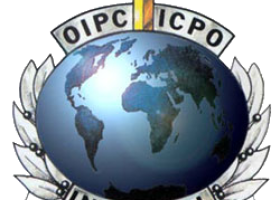 Operation Free Assange – Anonymous butta giù il sito dell’Interpol