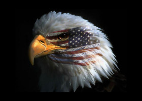 U.S.A. – L’Impero delle “piccole Guantanamo”