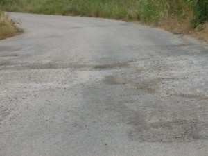 P1000500