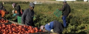 lavoratori_immigrati550