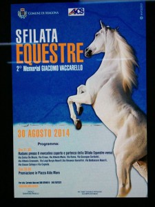 sfilata equestre ad Aragona (2)