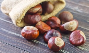 castagne