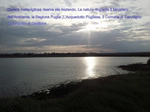 ringraziamenti (2)