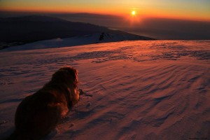 etna (1)