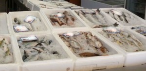 pescheria