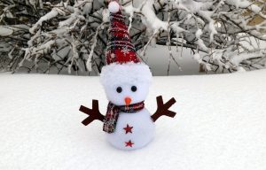 snowman-1145321_960_720
