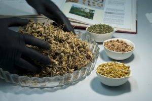 Laboratorio-Erboristico-Forza-Vitale-pic-2-768x511