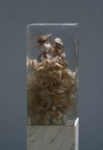 6395d2ab-7368-41e0-809e-cb0ac93a3f8c