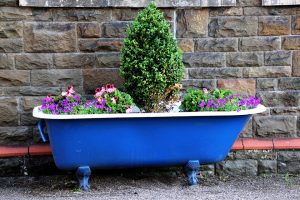 vasca con piante
