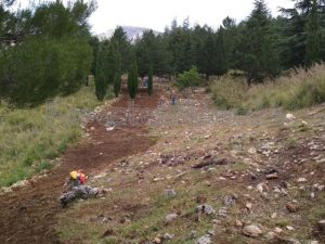 Sono rimaste sorde le richiesti dei sindaci al problema dei Forestali !