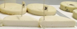 formaggelle sperimentali addizionate con i batteri benefici