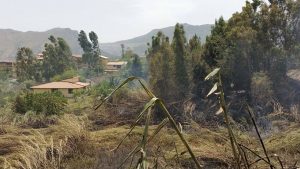 Forestali fermi ad Agosto. Potrebbero essere utili con compiti di vigilanza e prevenzione incendi, o no