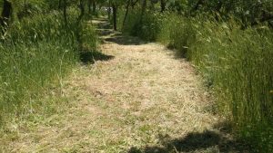 Licenziati i Forestali delle Madonie. Antonio David Una vera e propria farsa !