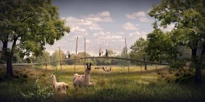 _copy__Buro_Landschap_Koen_Vanmechelen_Header