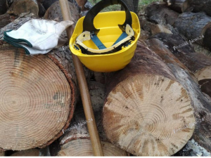 E' passato un altro anno per gli operai Forestali e forse qualcuno non s'è né accorto