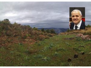 Antonio David. Tempi maturi per la riforma del comparto Forestale, anzi già stagionati