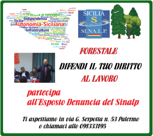 locandina esposto denuncia sinalp forestali