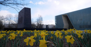 Daffodils_next_to_POLIN_Museum_phot.POLIN_Museum