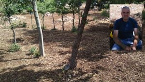 Riforma Forestale. Antonio David Le parole galoppano velocemente rispetto al fatti