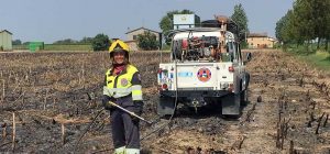 Sugli incendi boschivi in Sicilia la Protezione Civile si fà largo a danno dei Forestali Antincendio