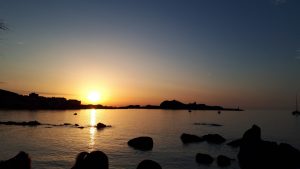 mare