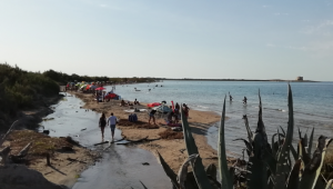 L’affollamento di ombrelloni nella zona A dell’oasi, dove è assolutamente vietata la permanenza e la balneazione