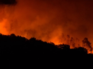 Sicilia sotto la morsa degli incendi. Antonio David Prevenire e vigilare con i lavoratori Forestali