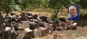 Attendiamo altri 15 giorni per capire e toccare questa riforma del settore Forestale